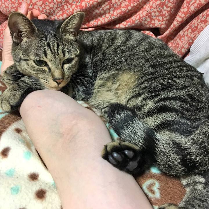 09c9af7c 8aa6 43fd 9d67 98841428610b