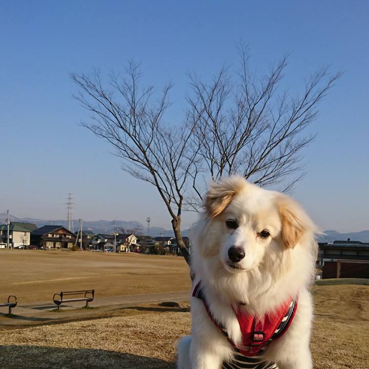 09c9f800 d390 4550 8594 0b7f281d8209