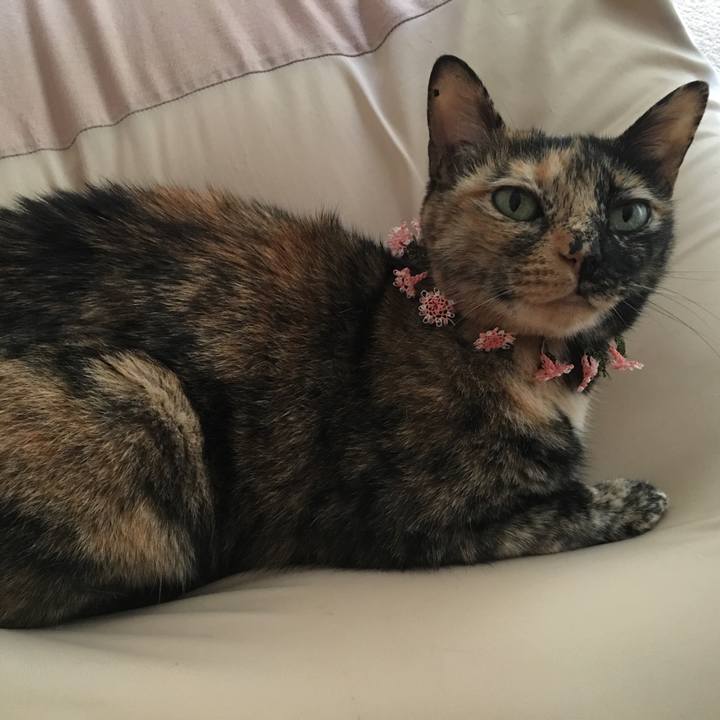 09ca1f02 3694 4ff1 a73e f09d3b38a269