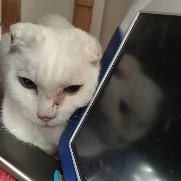 09caba90 c0bc 49aa 944d b48267452c03