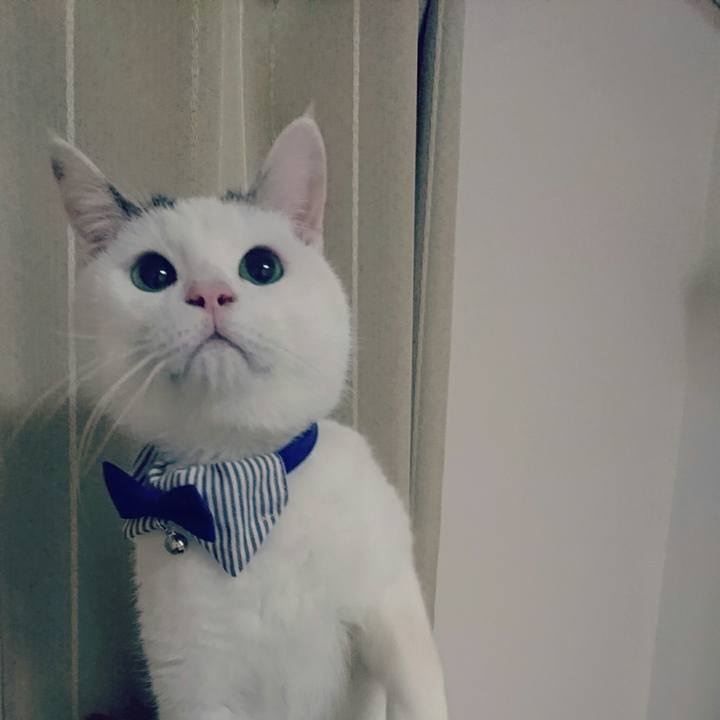 09cb4e0f bdf0 4451 8920 198402f88aeb