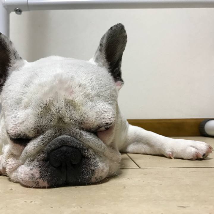 09cb7a20 3c3c 49a7 9ff7 cbd1a991dc47