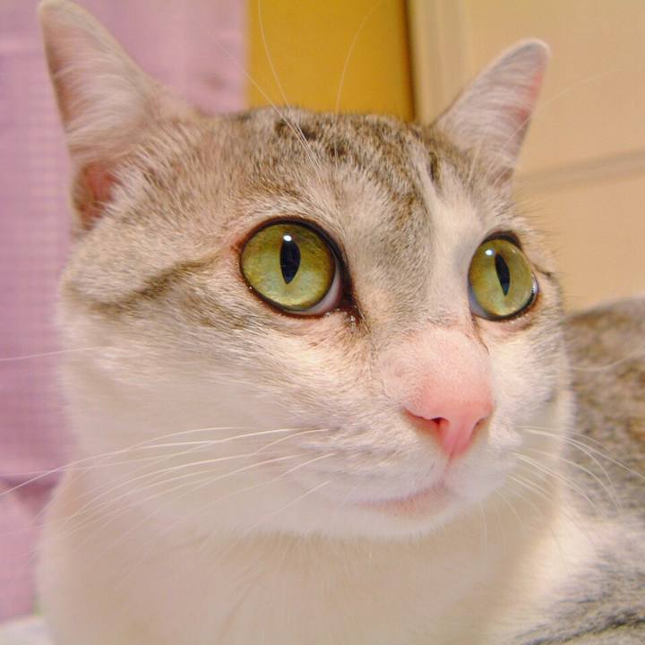 09cbfe76 fb27 4398 81cf ecf193ff0cbb