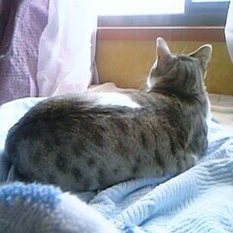 09cce769 3027 4261 83ba 41aef7cc0a00