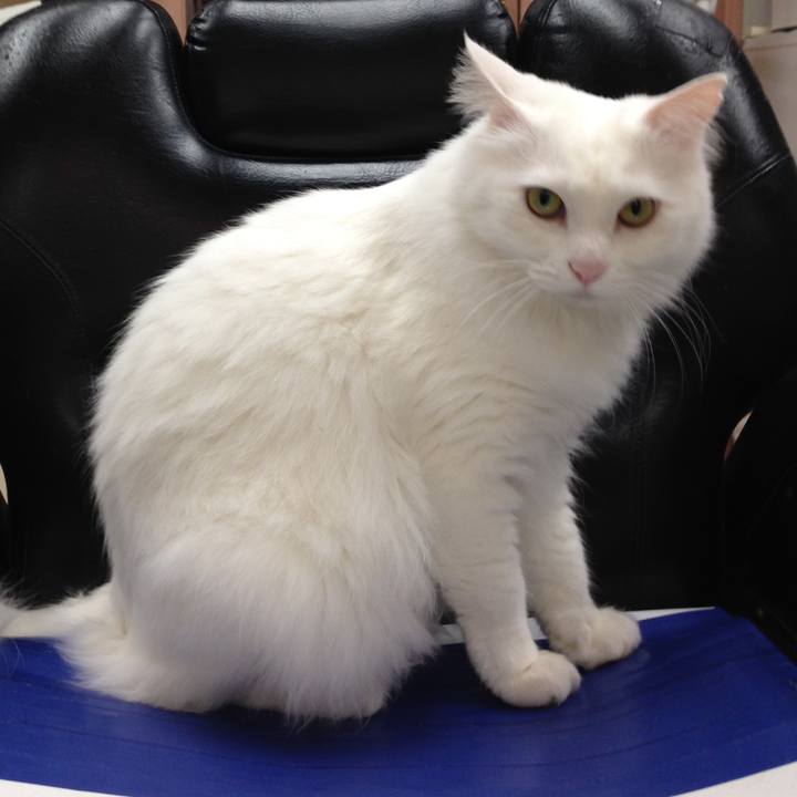 09cd5bfa b675 4426 8d43 4e2dbd5e22f7