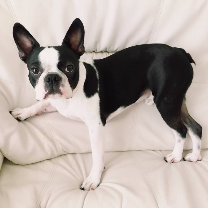 09cd9b88 bbbc 45fb bf2f e5ecaf0bcbcd