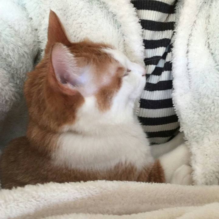 09cdb414 a456 42d4 8ef4 02ead4fff2fb