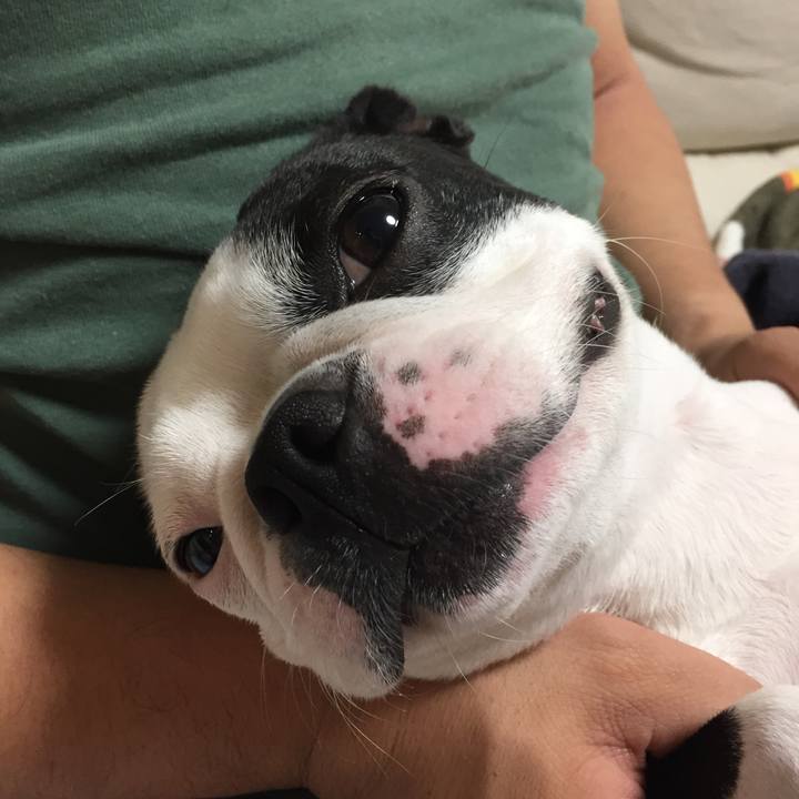 09cdc010 1df9 412e 9ffc 976827408a2d