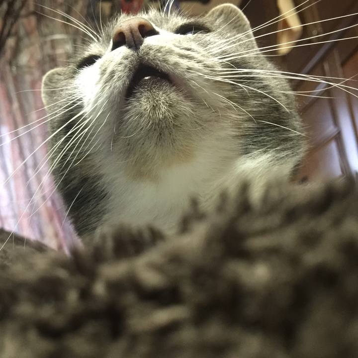 09cf4d62 9fdc 48b8 9a76 5f61a73cdb9c