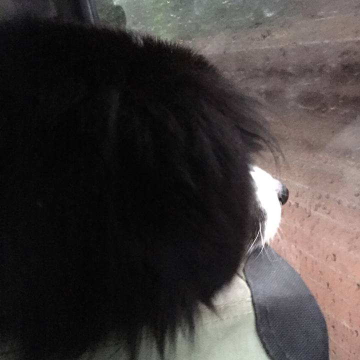 09d03e85 ef1b 459e 82df 804e1aefdfba