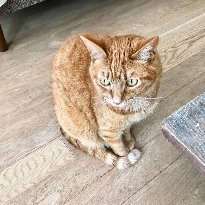 09d0fef7 1081 4433 afd5 dae5aa3ff4f0