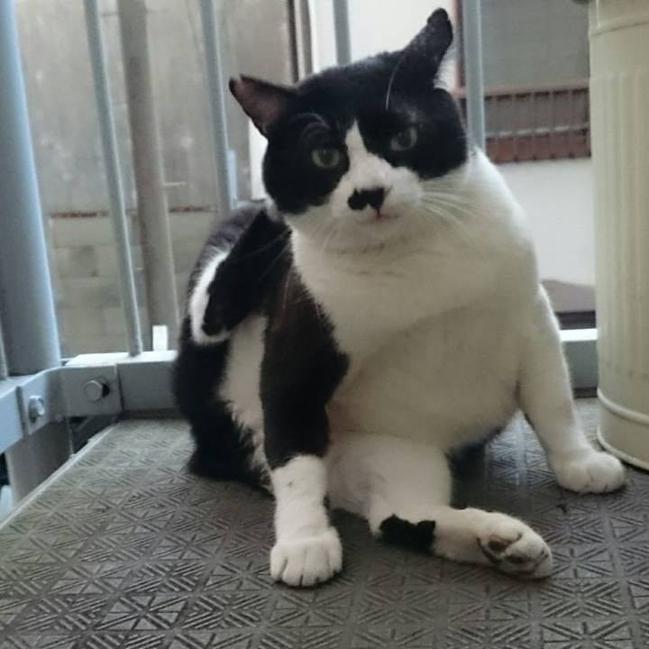 09d12aa8 28ed 4907 97ae 4c05ea2f3492