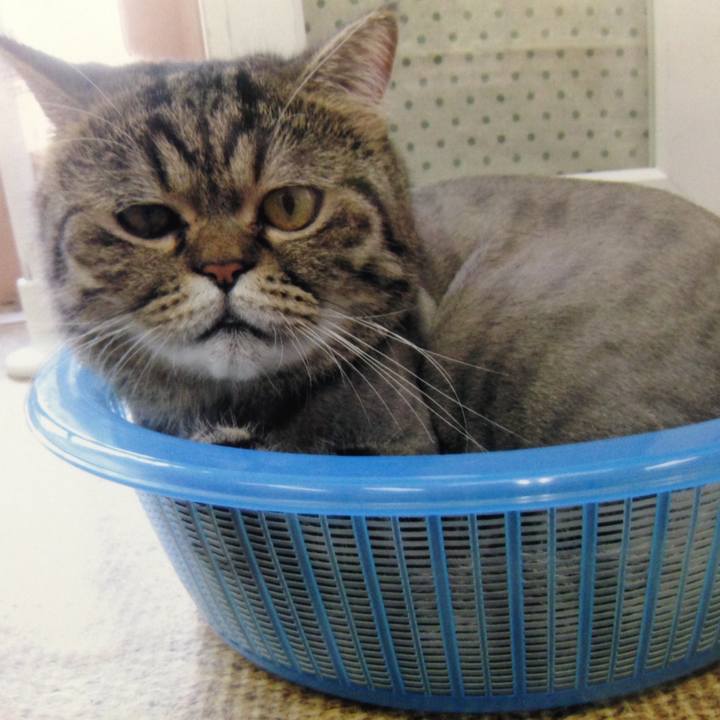 09d1b364 1d5d 4b0d a670 d8fad687f3b9