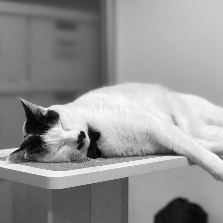 09d1e227 7c11 4010 9deb 76e2352147c5