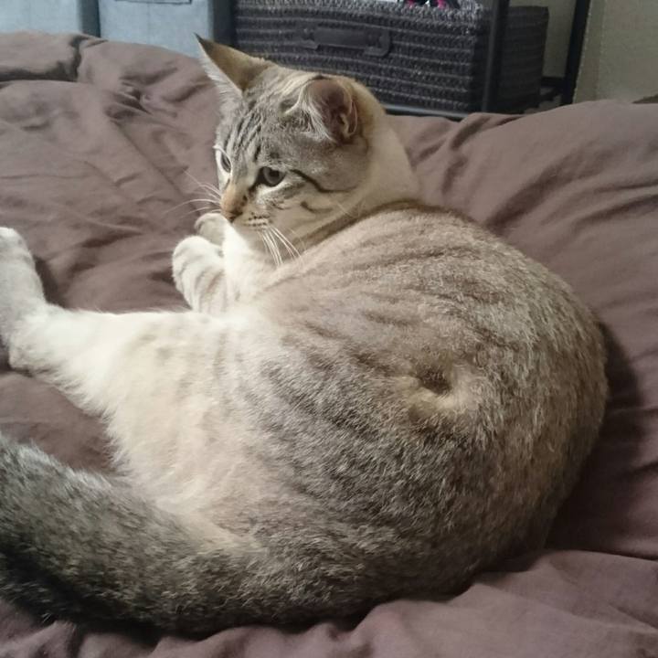 09d255bf 700f 407d aca5 03b93714c0bf