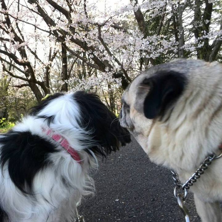 09d30d3e d697 4de1 b86f d056d3f8026d