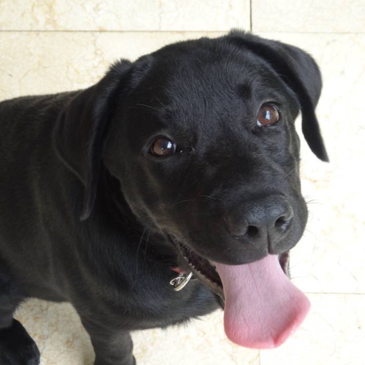 09d38d18 6cdd 4adc 8bf9 68a651963aed