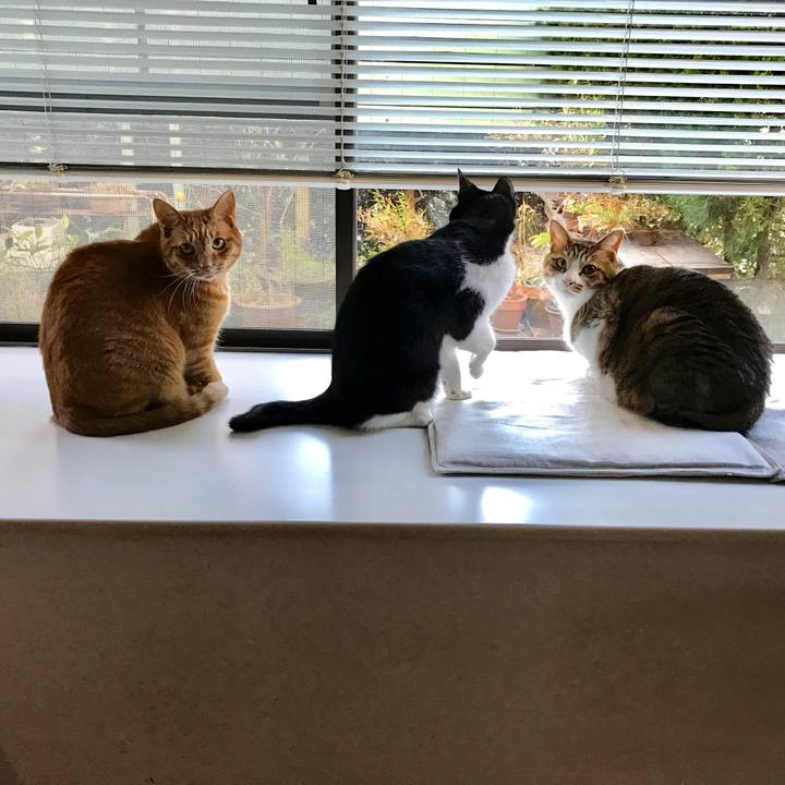 09d3e0dd e069 4f5f b81f ae32730b7990