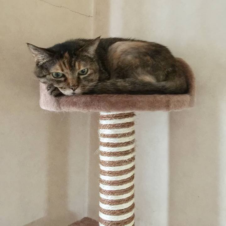 09d4e10d f305 4fc9 b987 86259a04276b