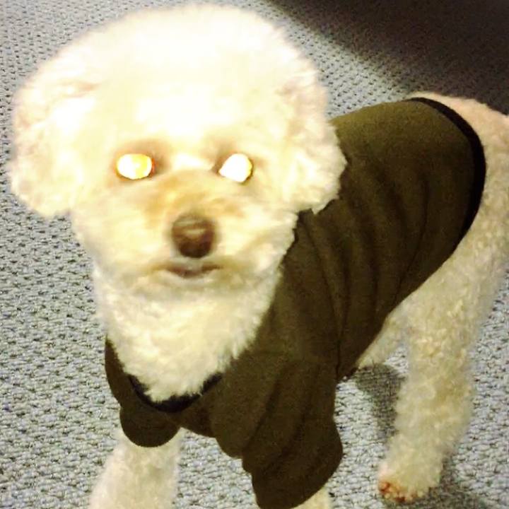 09d51c95 b186 4324 8e91 e3ef6cce6bde