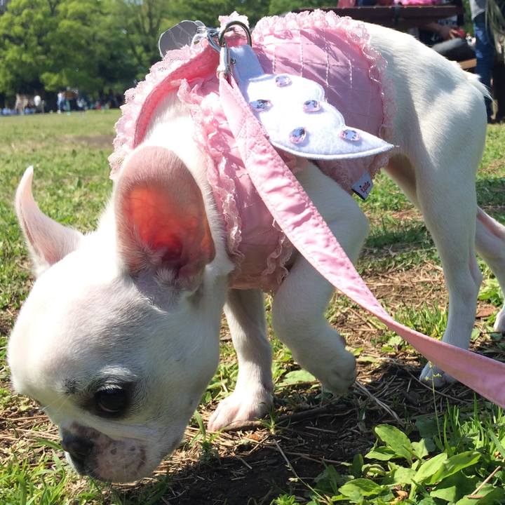 09d55ac9 bb1e 4bf9 8538 ee9416196354