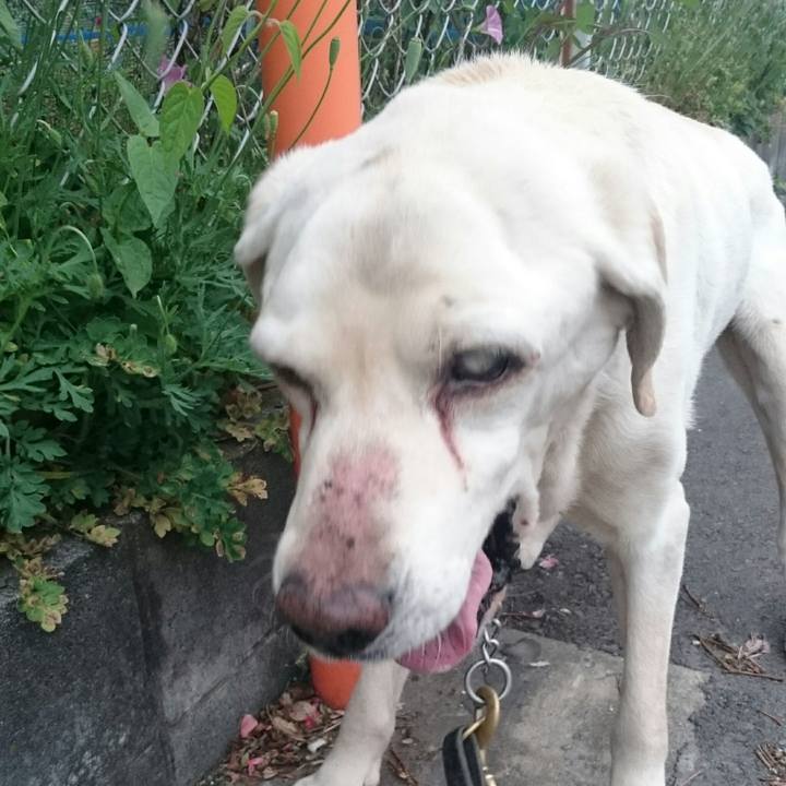 09d57e19 a1d9 48e8 b62a 7305340c165c