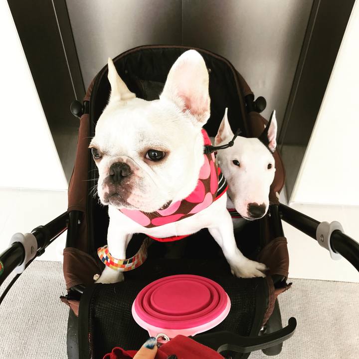 09d58e8d 7878 4c3e baca 2f8e5725d1f8