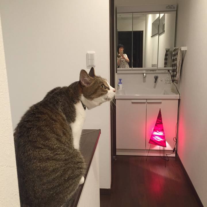 09d5c930 feb2 431b b08a a2c04546e0ed