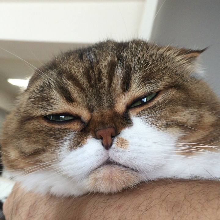 09d62ff0 7c1d 4c3b 90e1 05ccb5130563