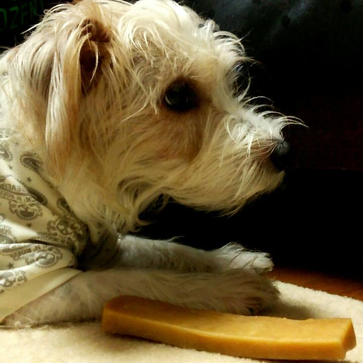 09d781c6 16fe 4d34 98b7 72ccc030fd77