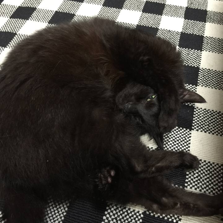 09d78c38 c2d8 45a5 9b41 1f8b72c6e4f0