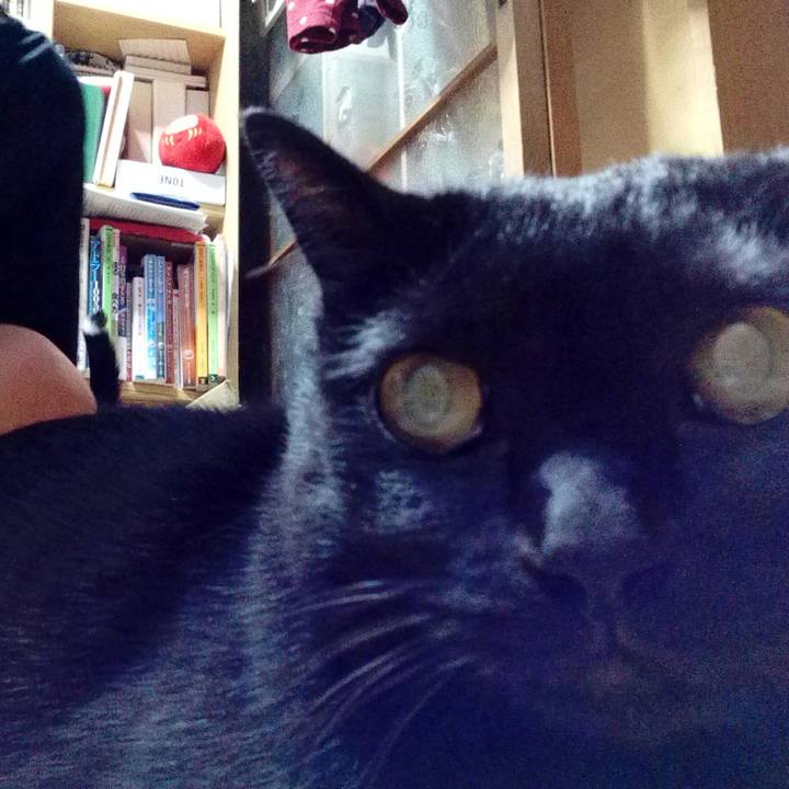 09d799e0 0959 4a72 a599 6172283f892a