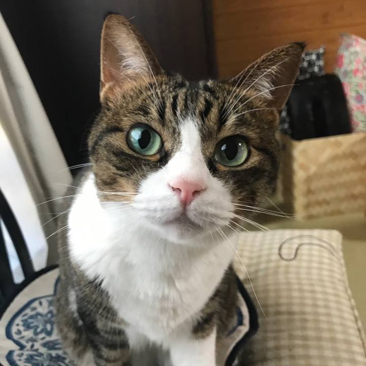 09d7a3e2 9840 417e b474 05cd91d6adb2