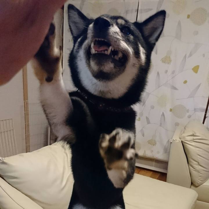 09d7dcad 87c6 43b9 909d af25c488ceb3