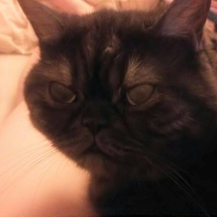 09d7e44b d9f2 428d 8d79 3a16745e10f1