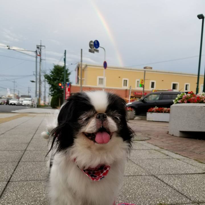 09d7e746 3cc1 4eb7 a779 f17e098278e0