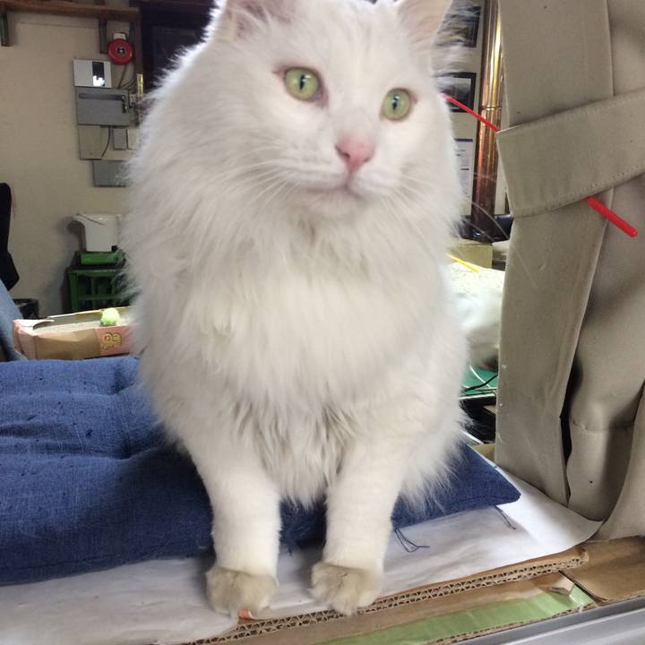 09d82fdb a91f 40b5 a336 650857abf59d