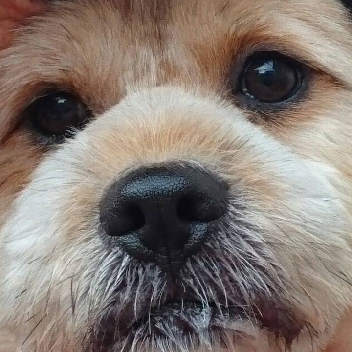 09d85876 6e19 4dd3 9743 3d98fa836b46