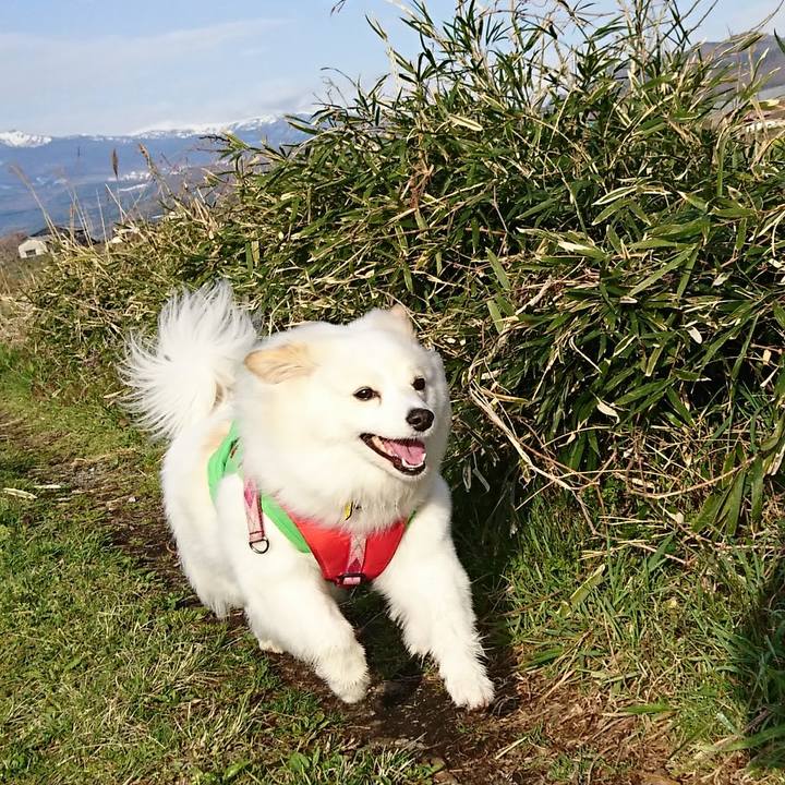 09d8f1d6 aafb 4919 99ad 045fb016dc36