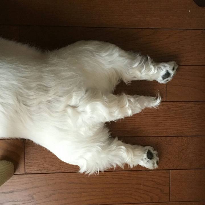 09d8f865 45e9 4ba1 b038 053c006e4612