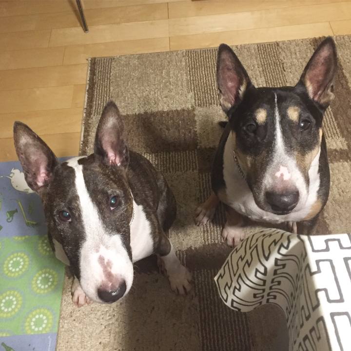 09d9229e 513a 43ca 88b7 d08b4bfaa436