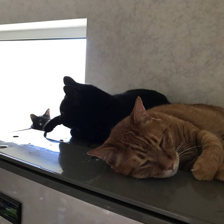 09d929ce aa44 4511 a830 f25f21e4cab5