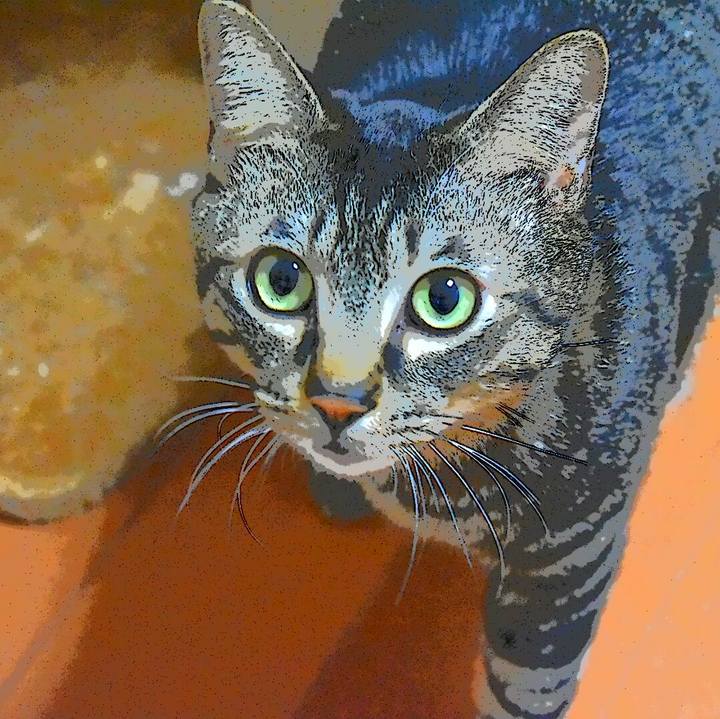 09d9e8b8 d275 4afe 9c23 3fabf29f5259