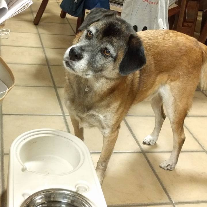 09d9fb20 07ca 429f 9538 6537722f5f53