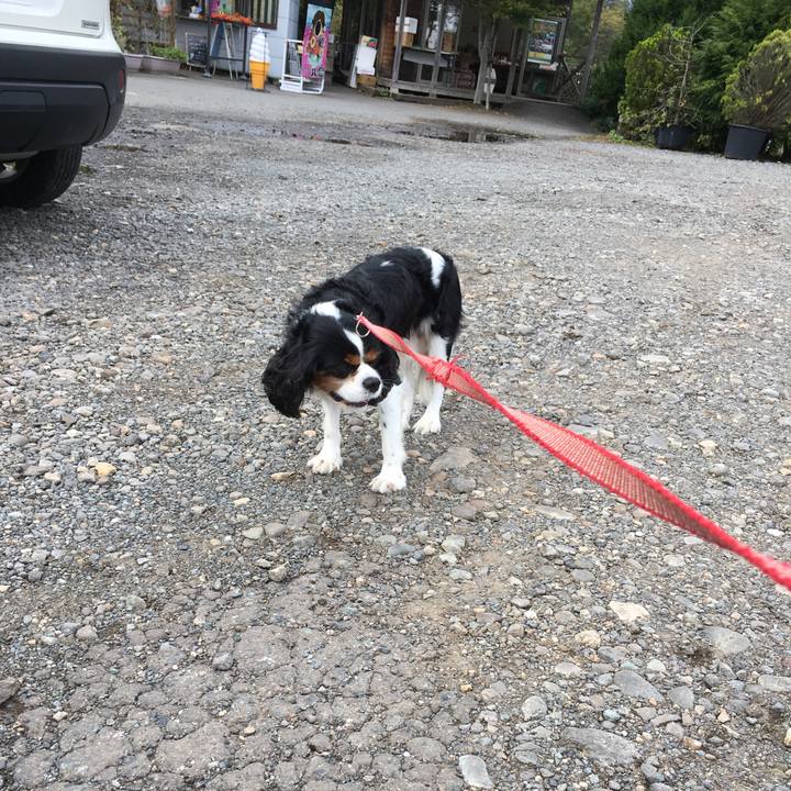 09da045f 42bd 4f37 b07f 7c66d18811c8