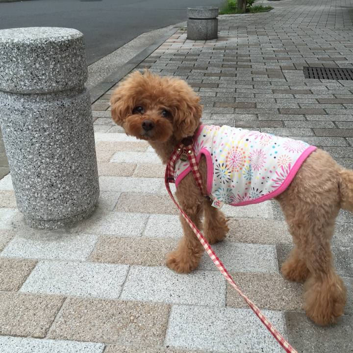 09daa7fd 2dc9 49b5 889d e608afb4339a