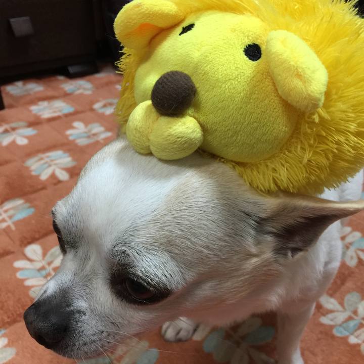 09dbb5b2 6c91 4eac 8ff9 67f3217a5193