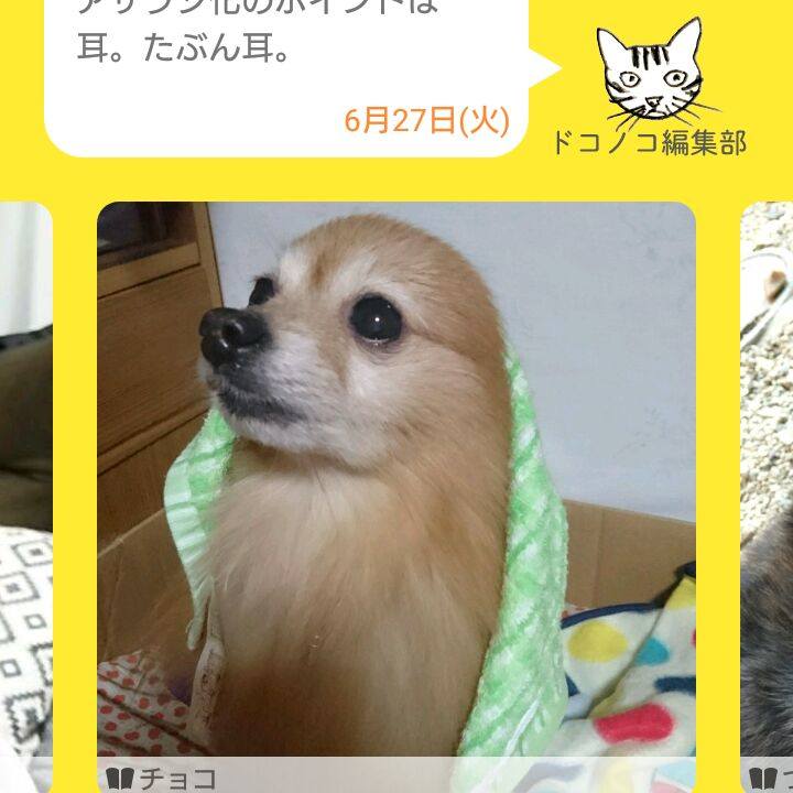 09dc1a27 5921 472e a9c7 d6f417903132