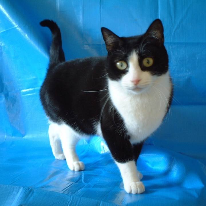 09dc2da1 da9c 4792 b9c5 a234e9420a7e