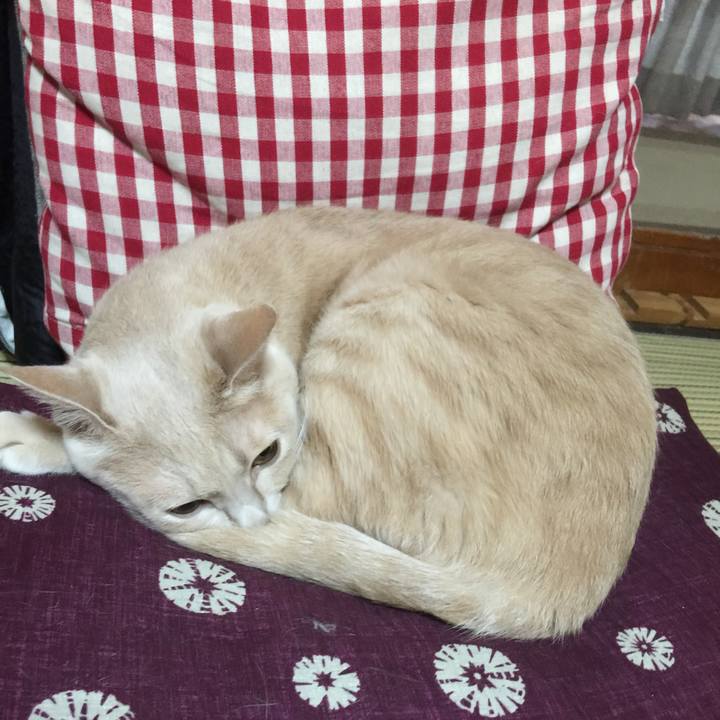 09dc311f b43d 4f7b 9708 d56cc524a2cb